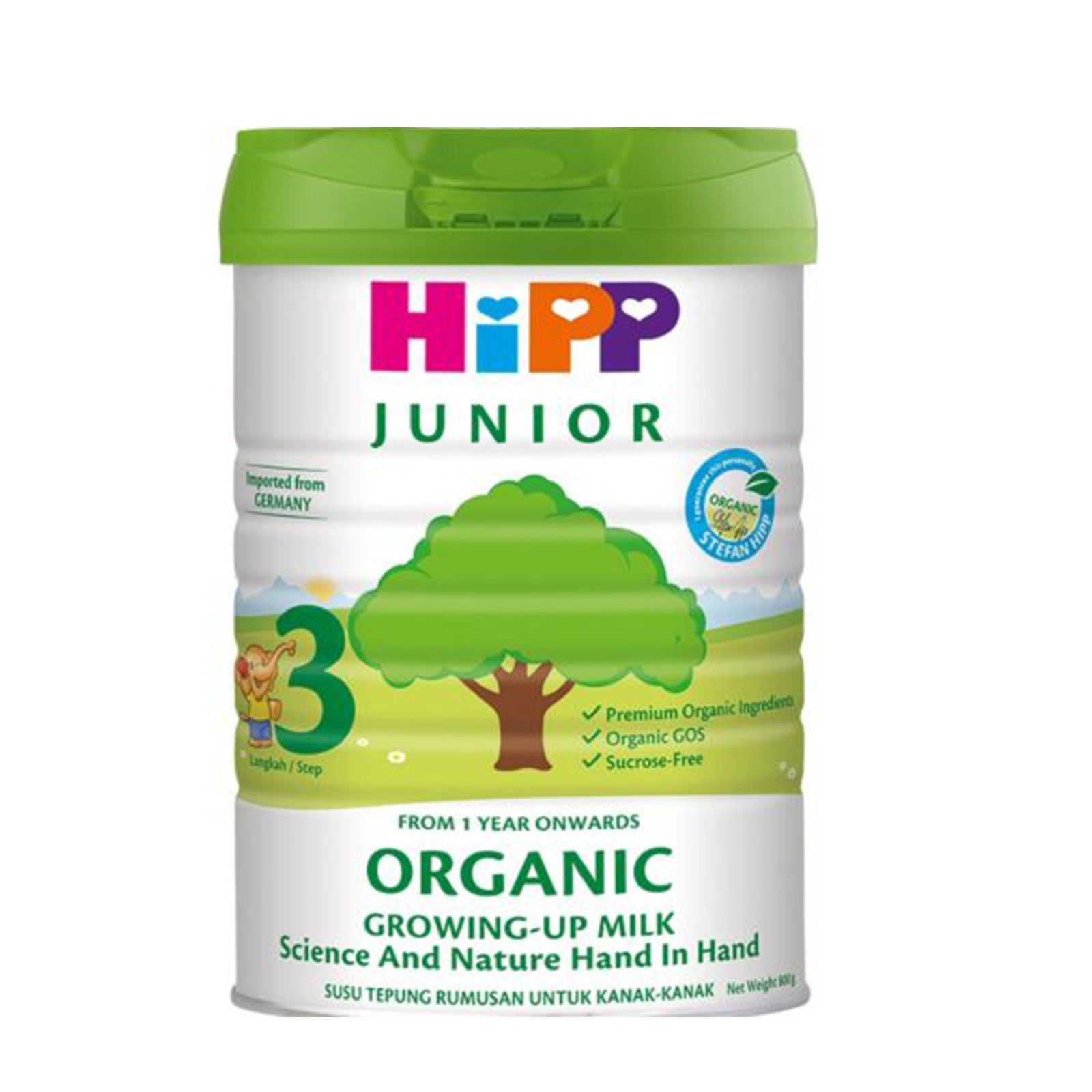 Hipp Junior Organic Growing-Up Milk Powder Step-3 800g