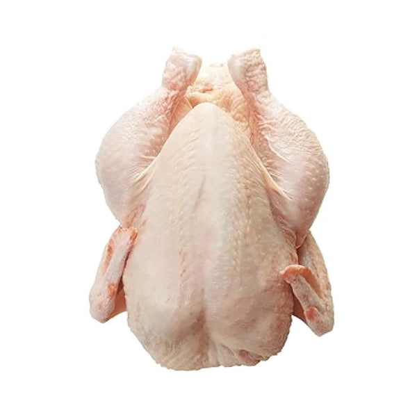 Aqina Spring Chicken 1unit (highest price)