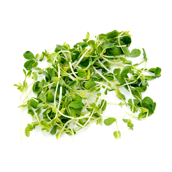 Peas Sprout (Malaysia) 200g (highest price)