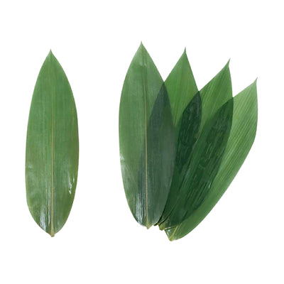 Bamboo Leaves 8cm 1pack