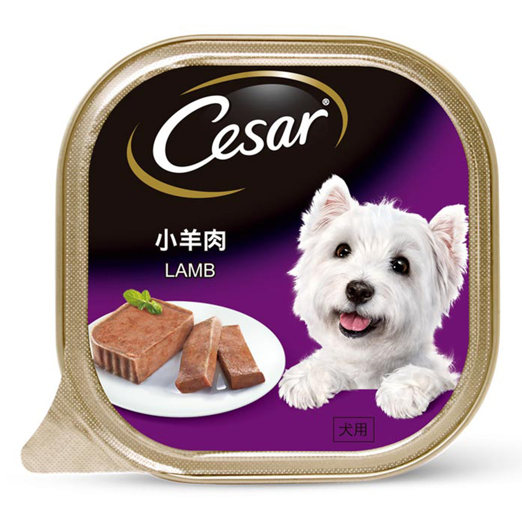 Cesar Lamb Wet Dog Food 100g