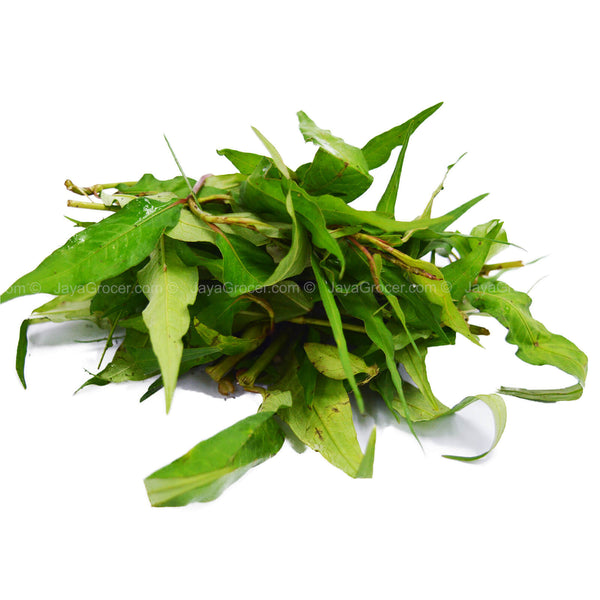 Laksa Leaf (Daun Kesum) (Malaysia) 25g (highest price)