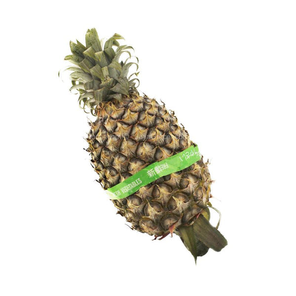 Josapine Pineapple (Malaysia) 1unit (highest price)