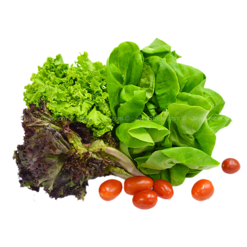 Paprika Farm Lettuce Mixed Salad (Malaysia) 230g