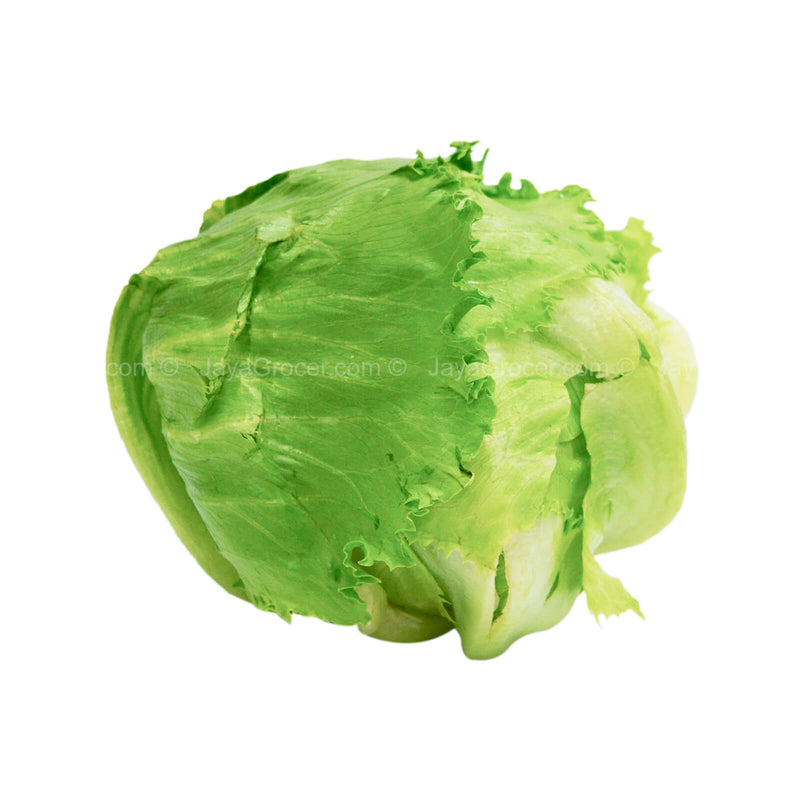 Paprika Farm Lettuce Iceberg (Malaysia) 380g