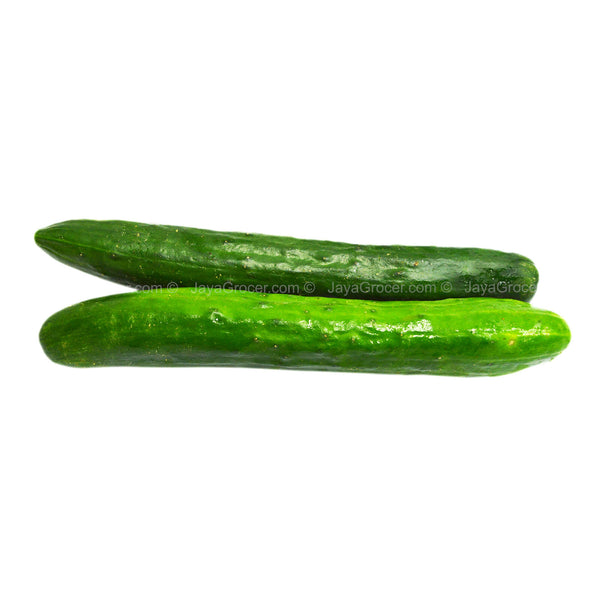 Paprika Farm Japanese Cucumber (Kyuri) 330g (highest price)