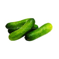 1 UNIT