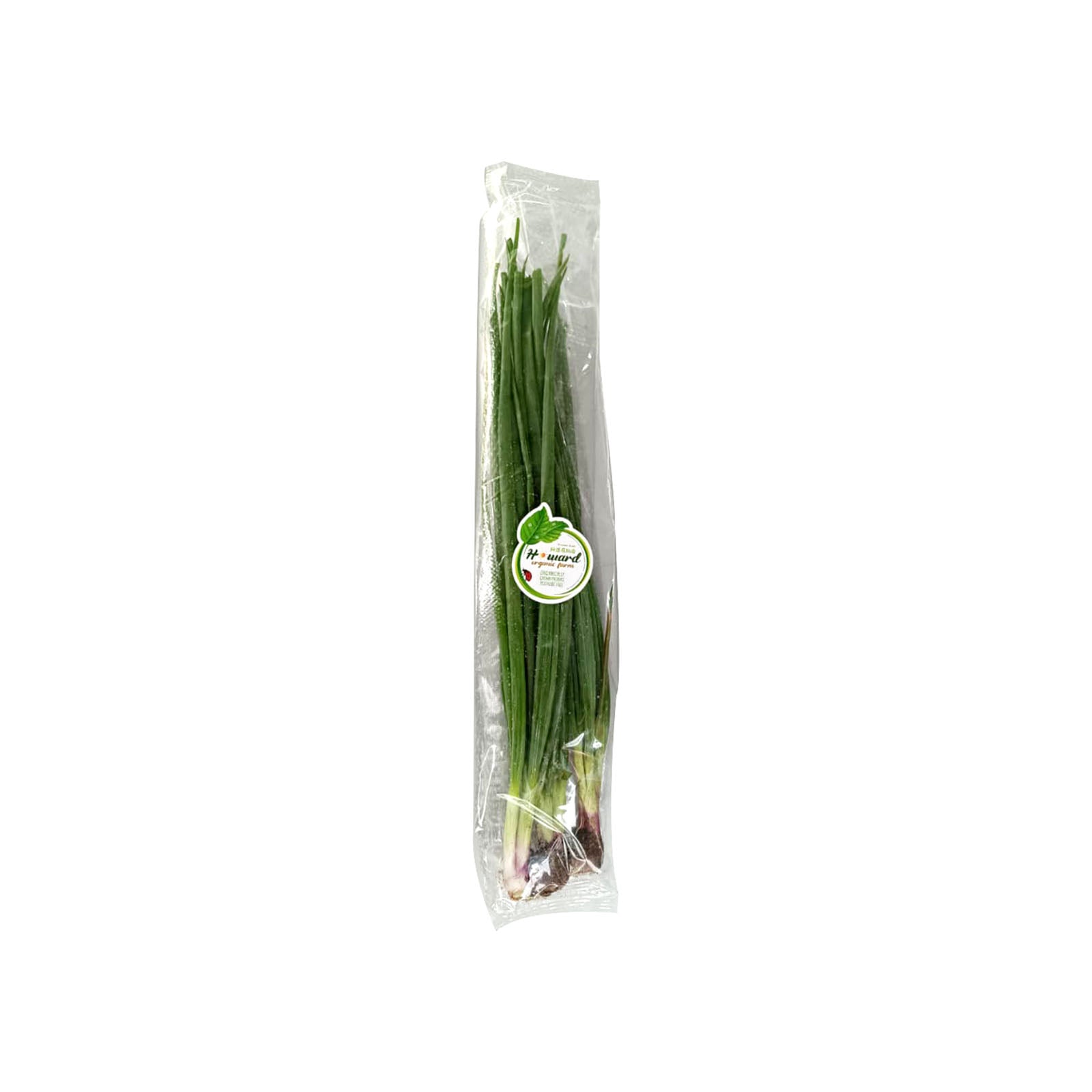 Organic Spring Onion (Malaysia) 60g