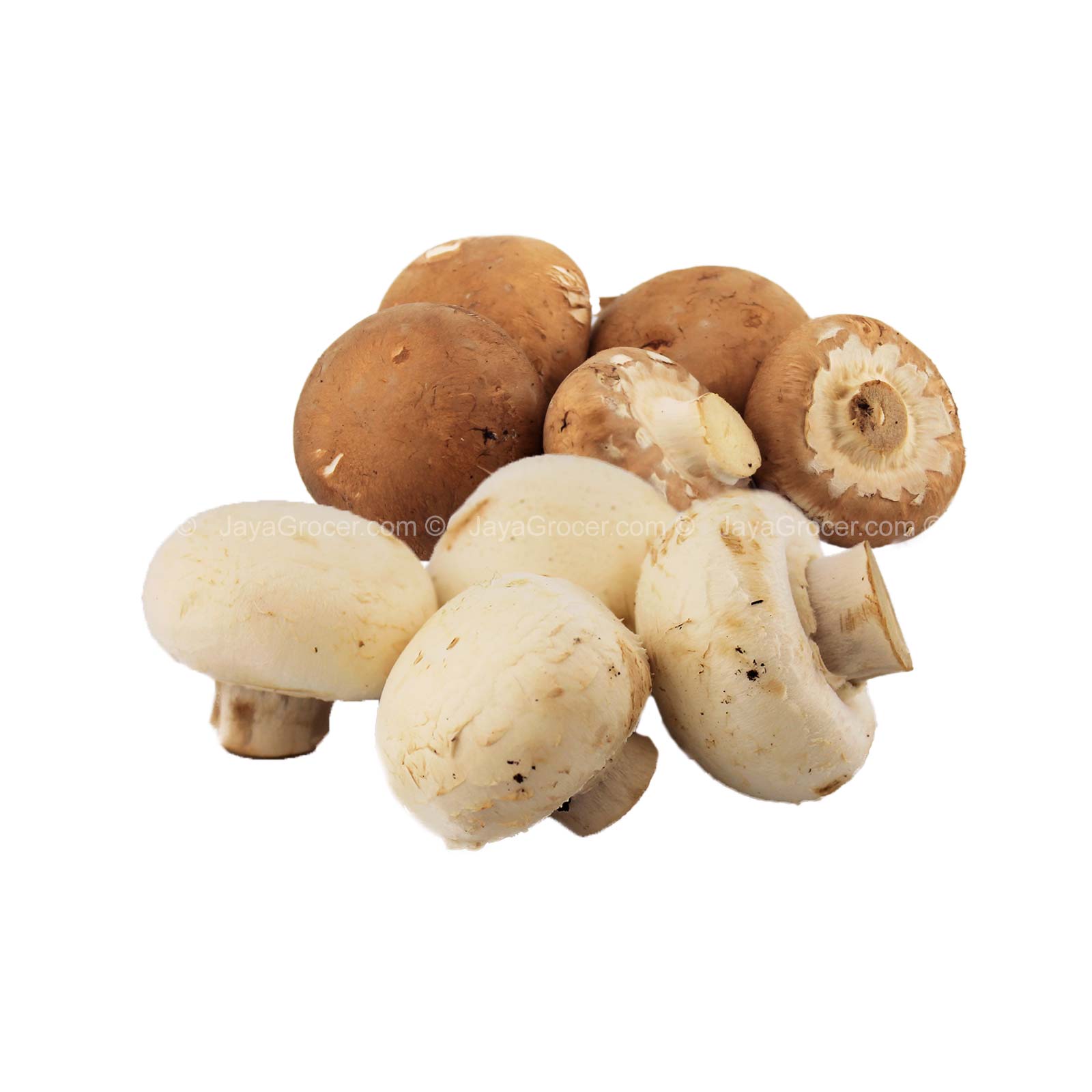Premium 2-in1 Mushroom (Malaysia) 250g