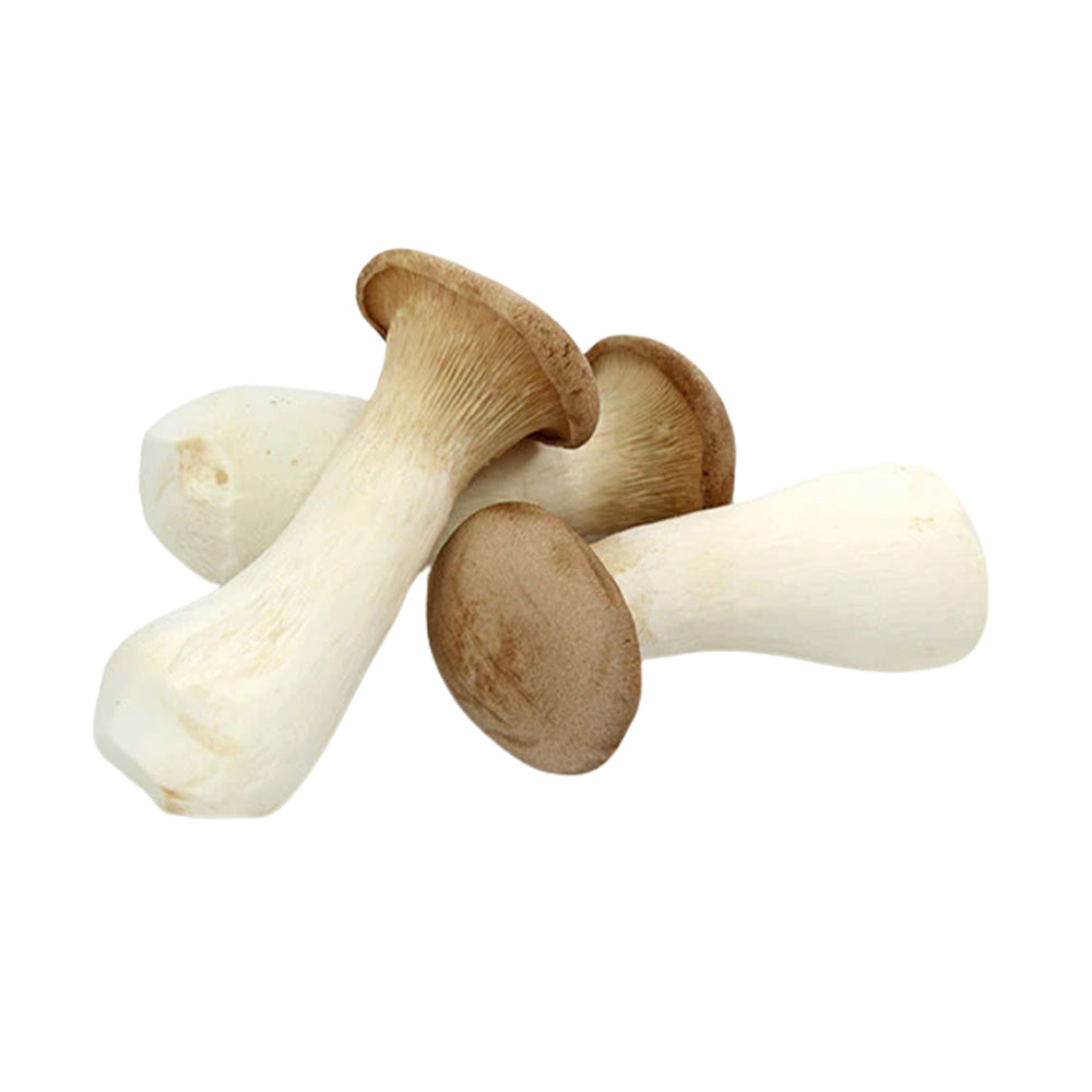 King Oyster Mushroom (China) 200g