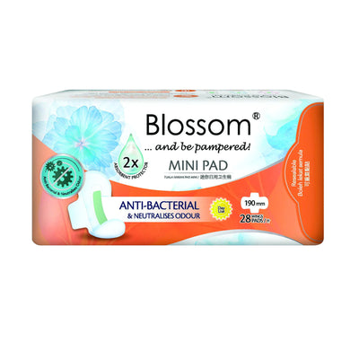 Blossom Pantyliner Ultra Thin Wing 28 pcs/pack