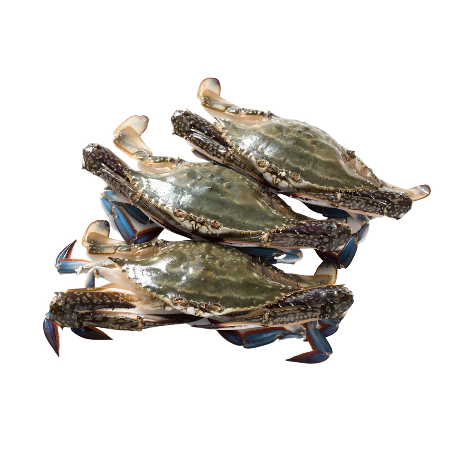 Frozen Flower Crab (Ketam Bunga) 500g
