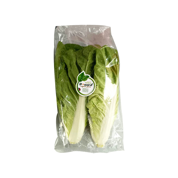 HW Organic King Pak Cabbage (Malaysia) 250g