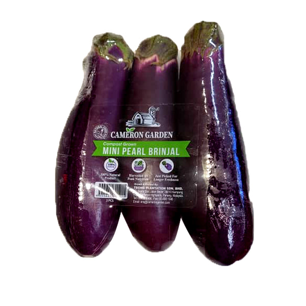 Cameron Garden Mini Pearl Brinjal (Malaysia) 3pcs/pack (highest price)