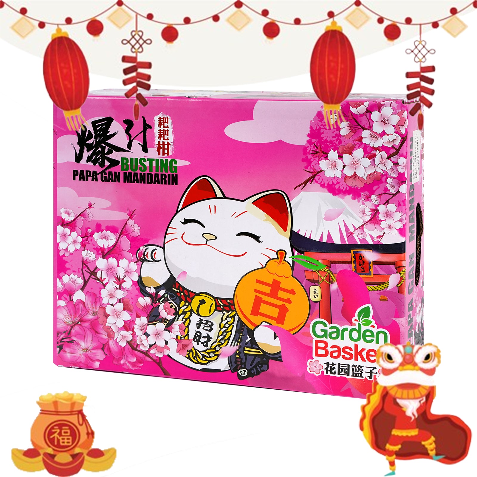 Papa Gan Orange Gift Box 2kg