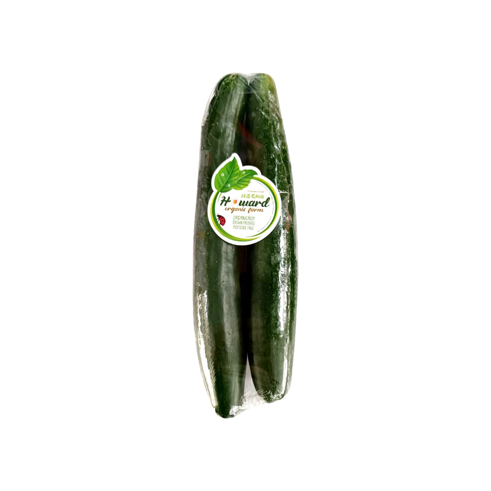 Organic Japanese Cucumber (Kyuri) (Malaysia) 2pcs/pack