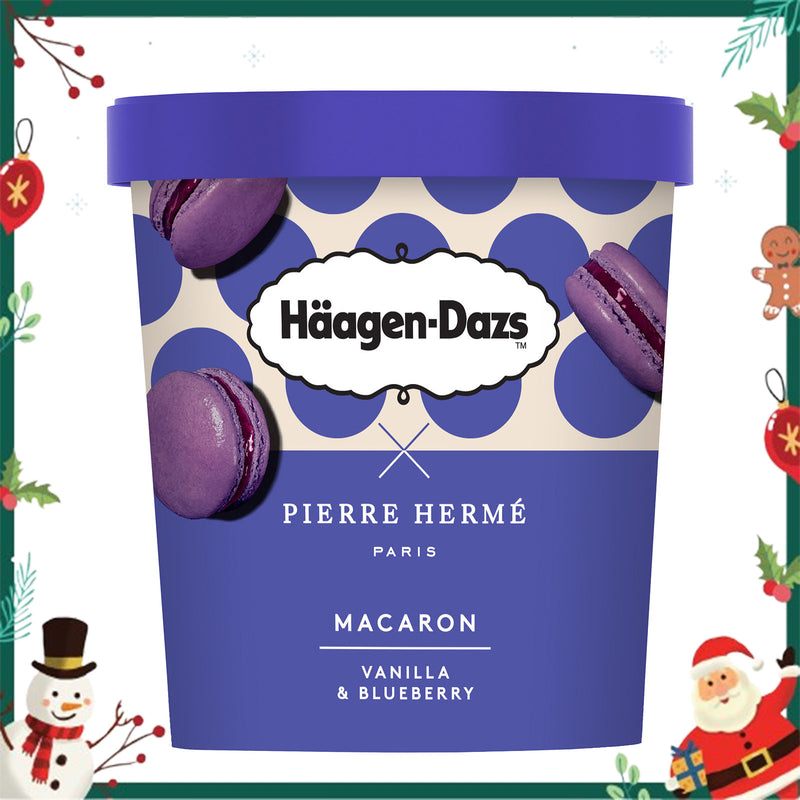 Haagen Dazs Macaron Vanilla and Blueberry 420ml