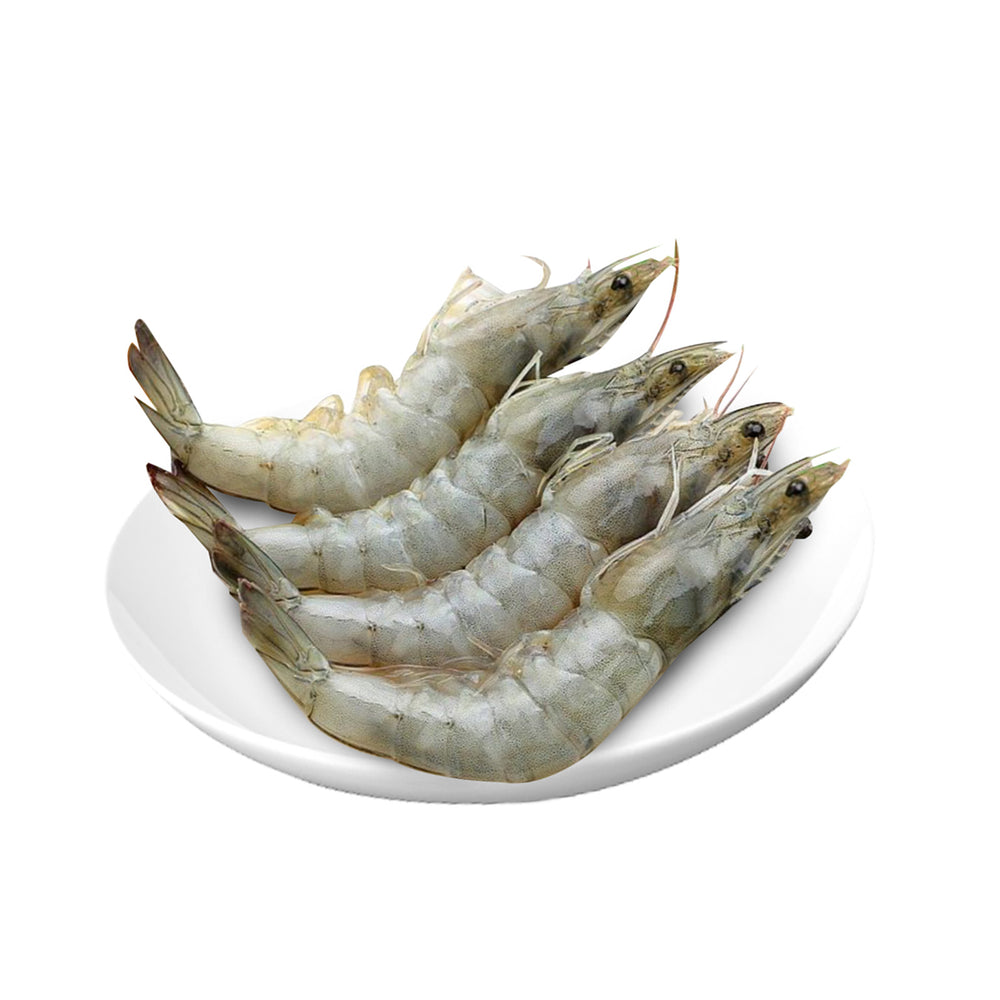 White Prawn/Udang Minyak Putih L 300g