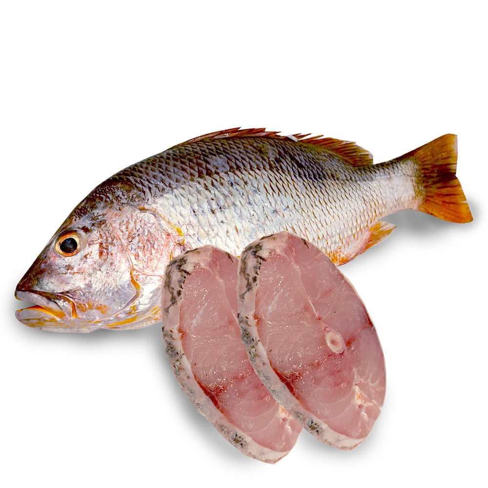 Ikan Jenahak Block 350g