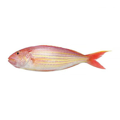 Ikan Kerisi 500g/pack