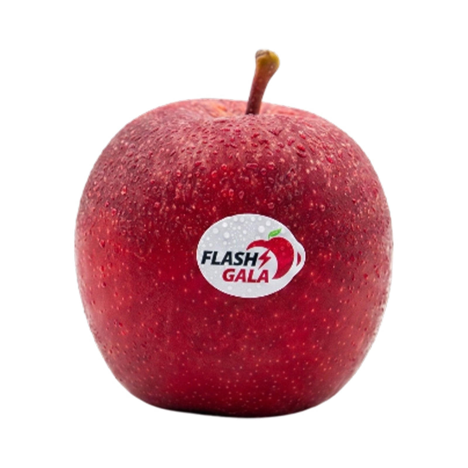 Flash Gala Apple (South Africa) 1pack