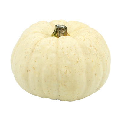 Cream White Bei Bei Pumpkin (China) 250g