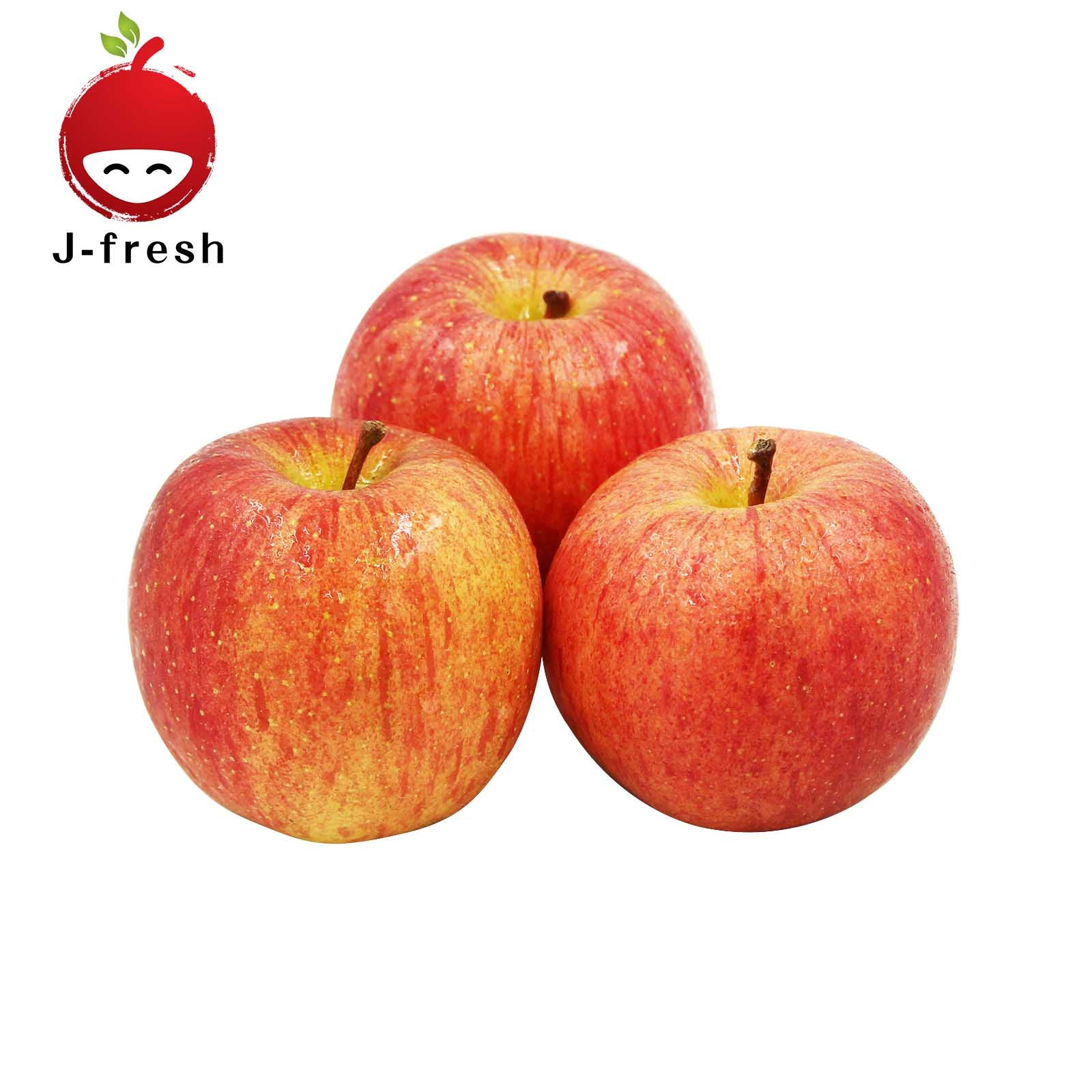 JMG Fuji Apple 3pcs/pack