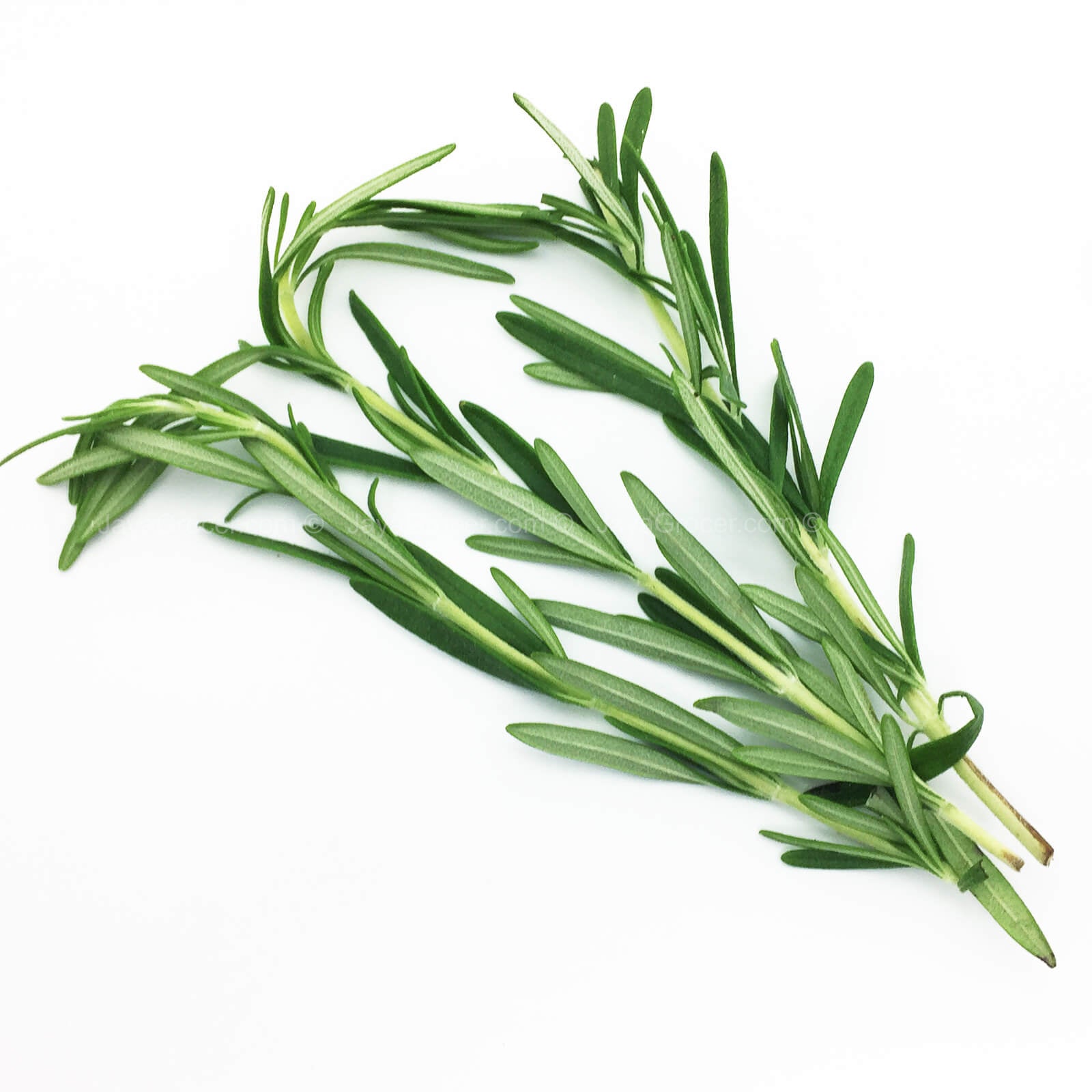 Genting Garden Rosemary Leaves (MYS) 10g