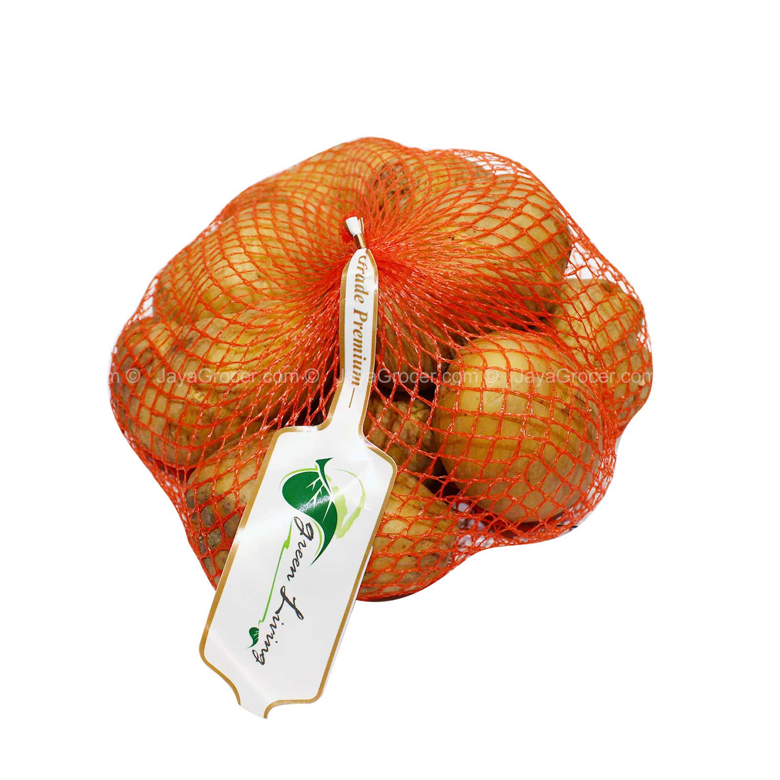 Potato (Bundle)