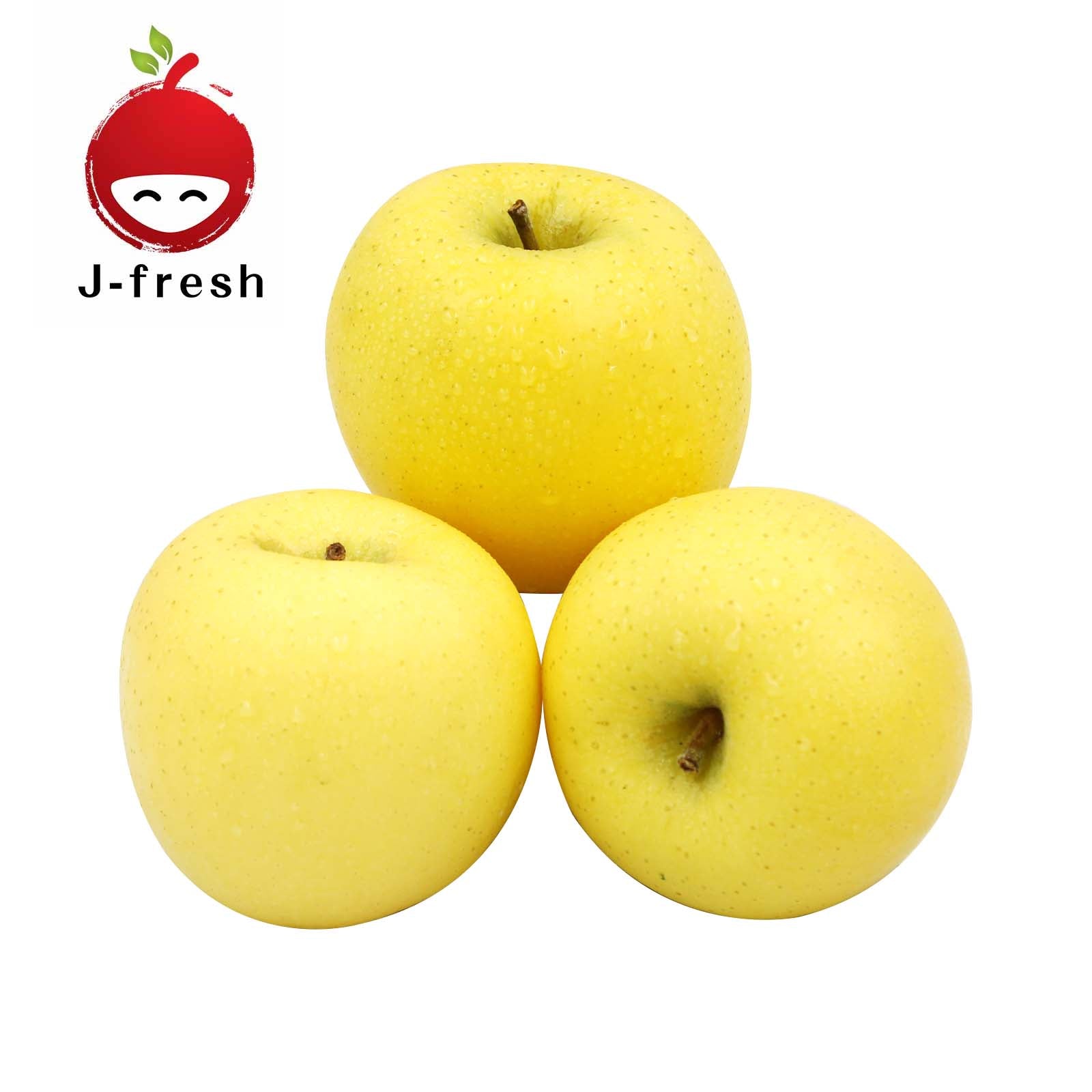 JMG Shinano Gold Apple 3pcs/pack