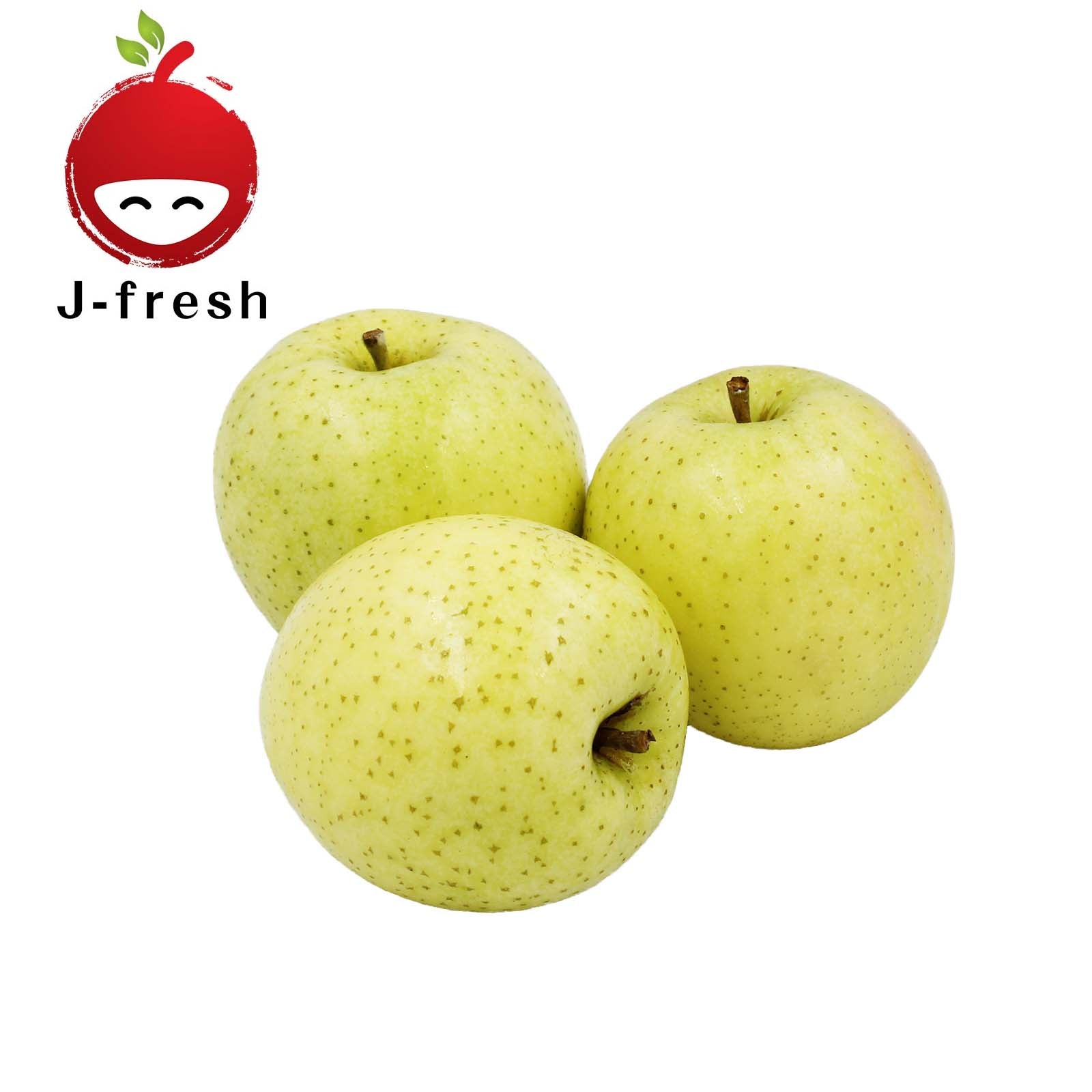 JMG Orin Apple 3pcs/pack
