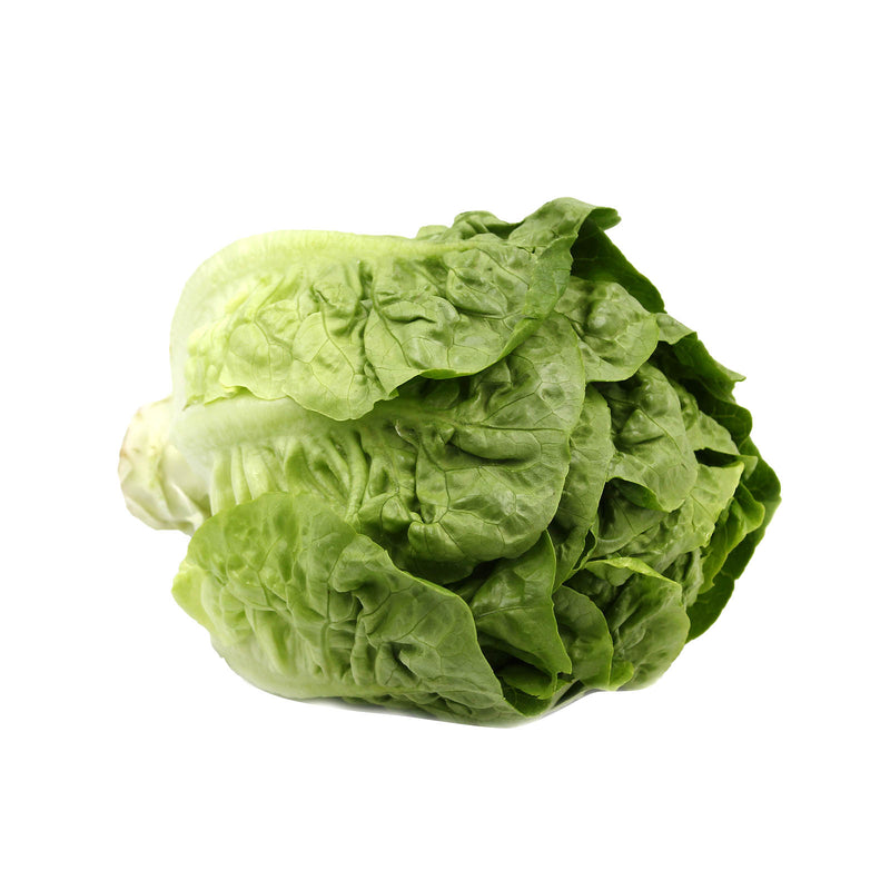Baby Romaine Lettuce (Malaysia) 1pack
